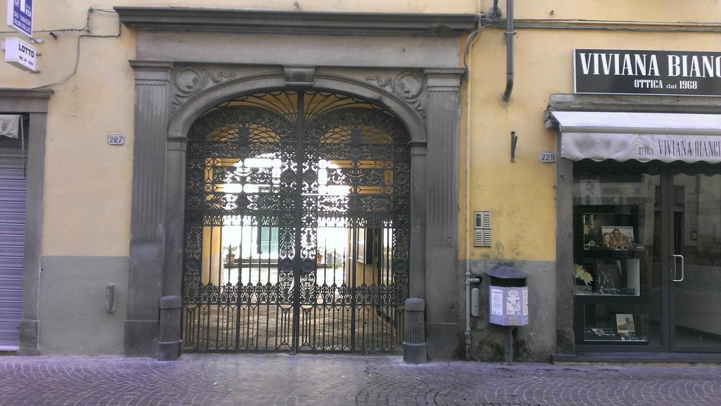 Yourhomeinlucca Le Palme Værelse billede